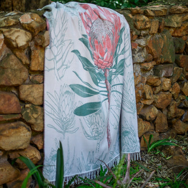 Bella Vita King Protea (Savannah)